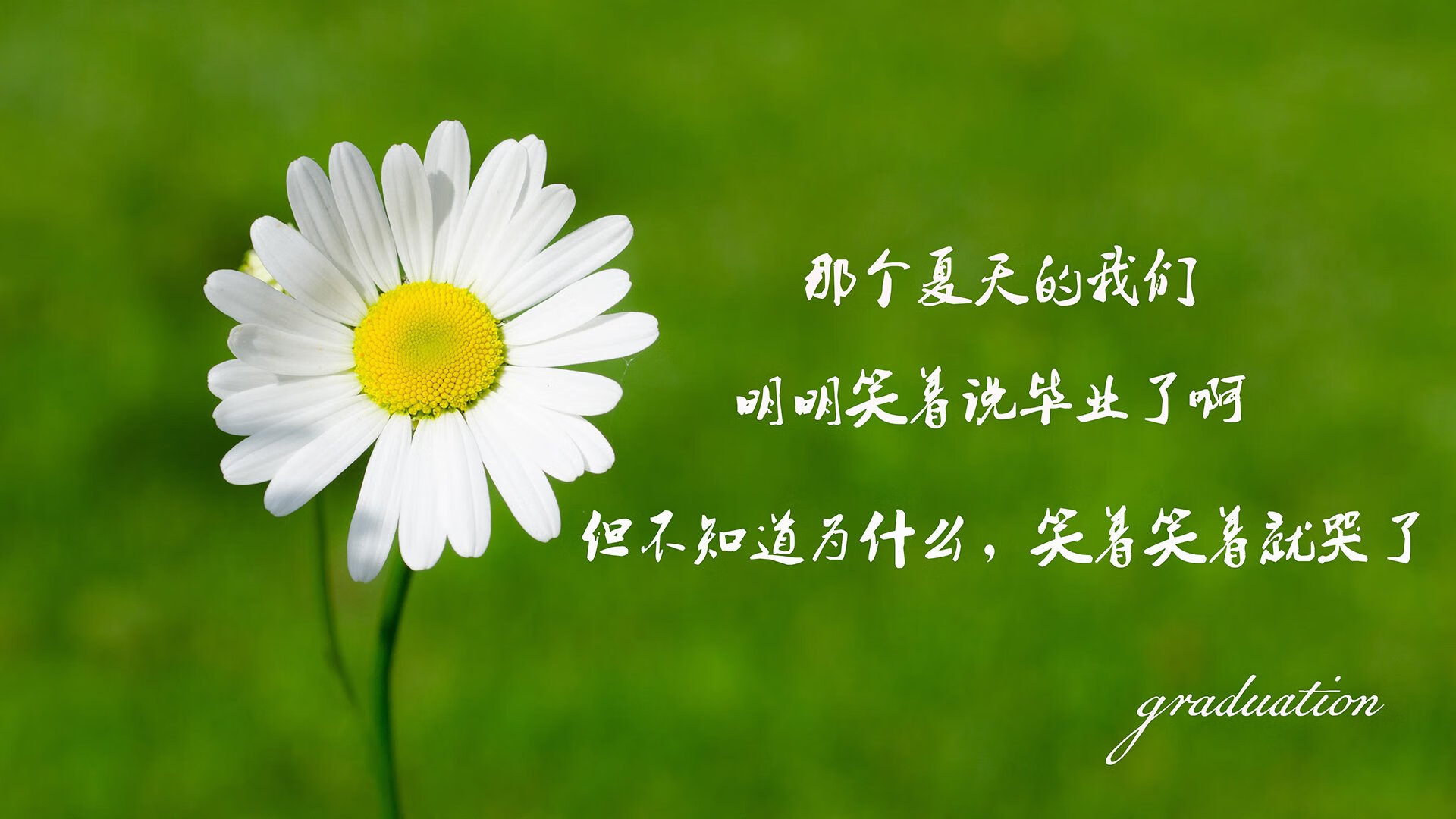 SPORTS-APP下载-英超冬季转会窗口，生意火爆，英超冬季转会窗口时间