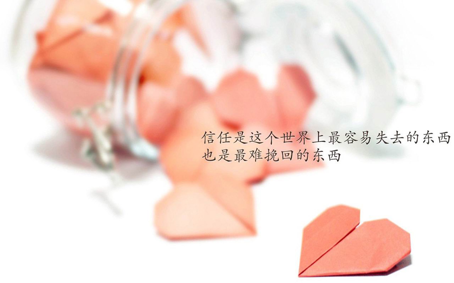 B体育中国内陆官方网站-运动员日记：比赛背后那些不为人知的细节，运动员比赛瞬间