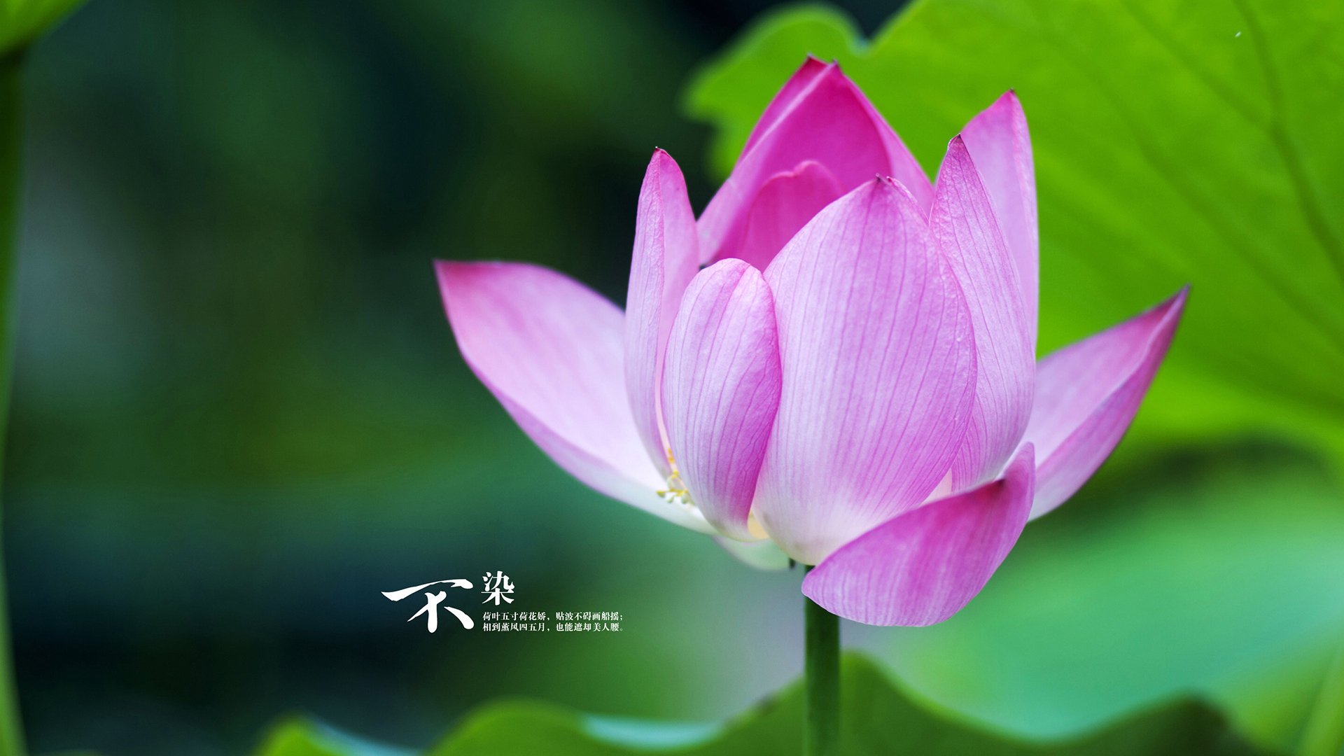 校园体育场馆智能维护与节能技术应用，校园体育场馆智能维护与节能技术应用实践报告