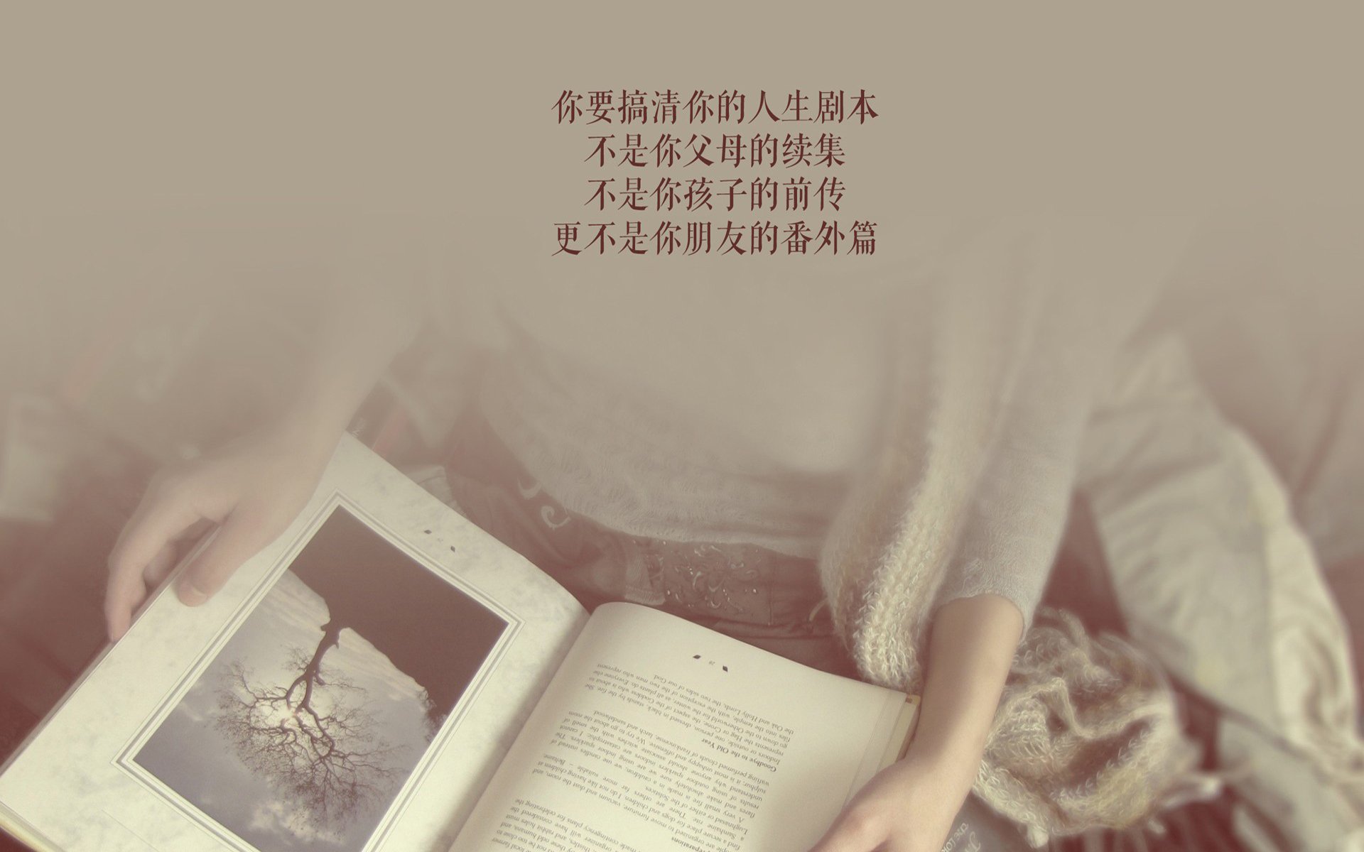 教练指挥风格与球队后劲表现之间的关系探讨，指挥后卫