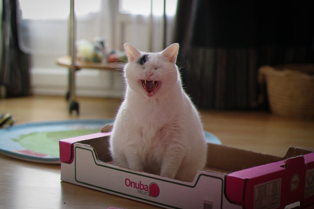 BSPORT 官网-英超激烈厮杀，豪门竞争日趋激烈